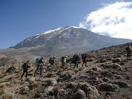 Trekkers on a high trail with Mount Kilimanjaro ahead